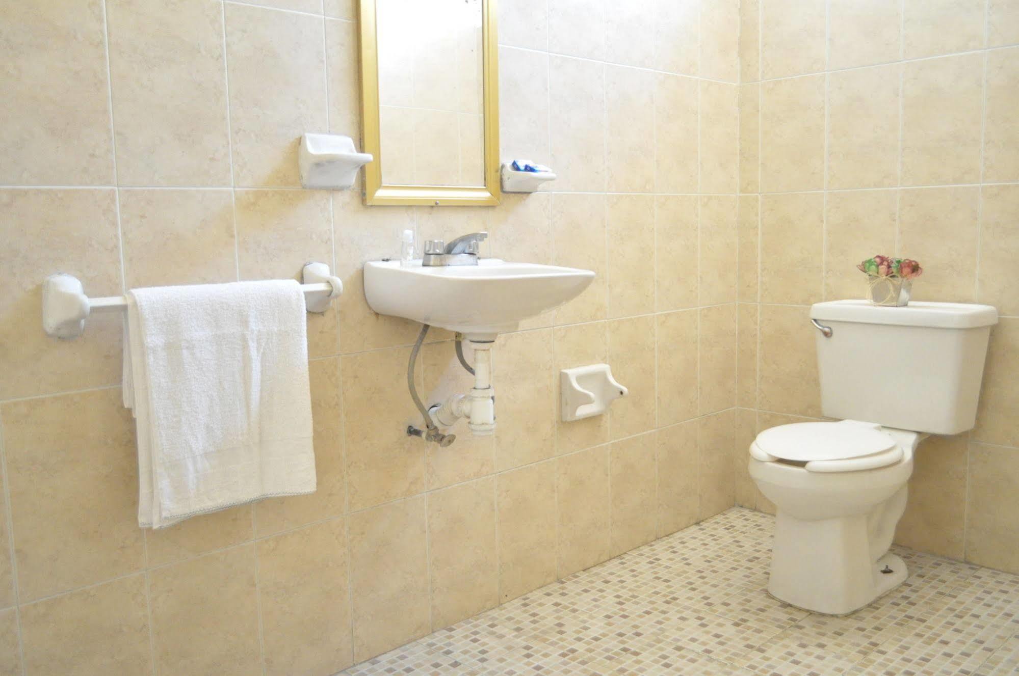 Hotel San Carlos Irapuato Eksteriør billede